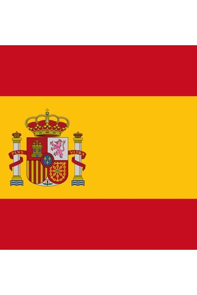 Steag Spania 20x30cm