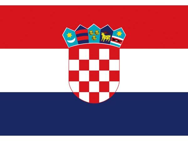 Steag Croatia 20x30cm