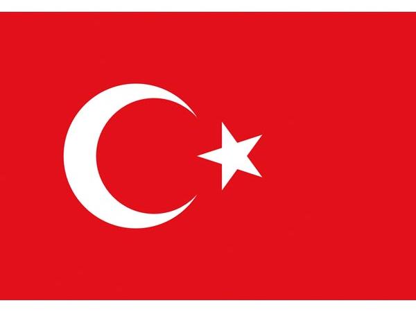 Steag Turcia 20x30cm